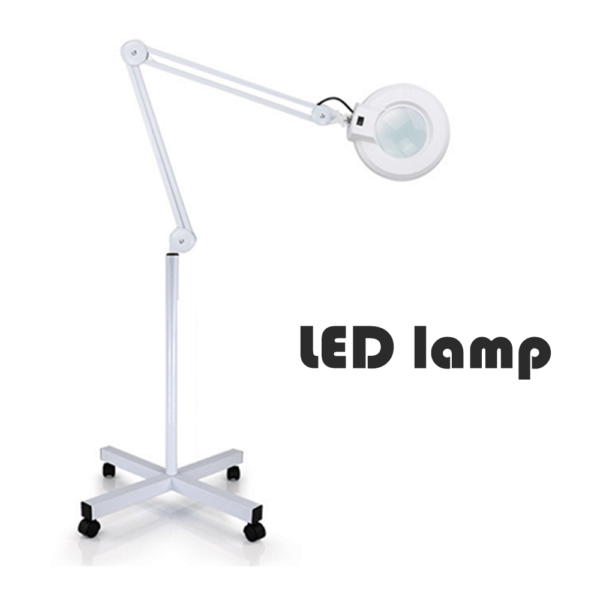 LAMP1031